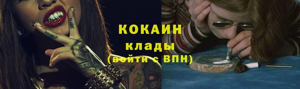 ПСИЛОЦИБИНОВЫЕ ГРИБЫ Верхний Тагил