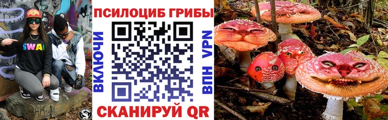 дарнет шоп  Дюртюли  Галлюциногенные грибы Magic Shrooms 